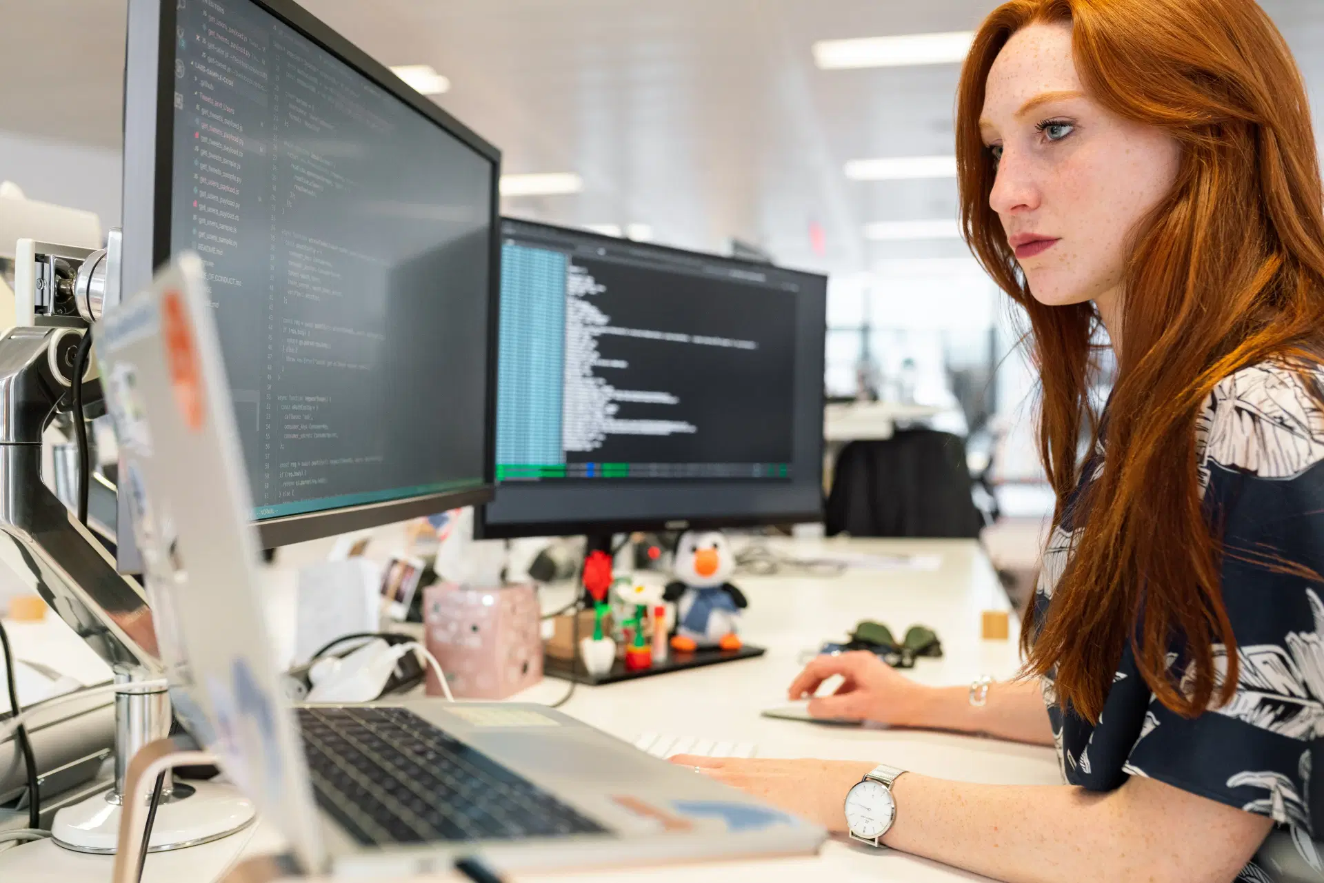 Software Development.webp